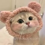 Avatar de Braulio Borja